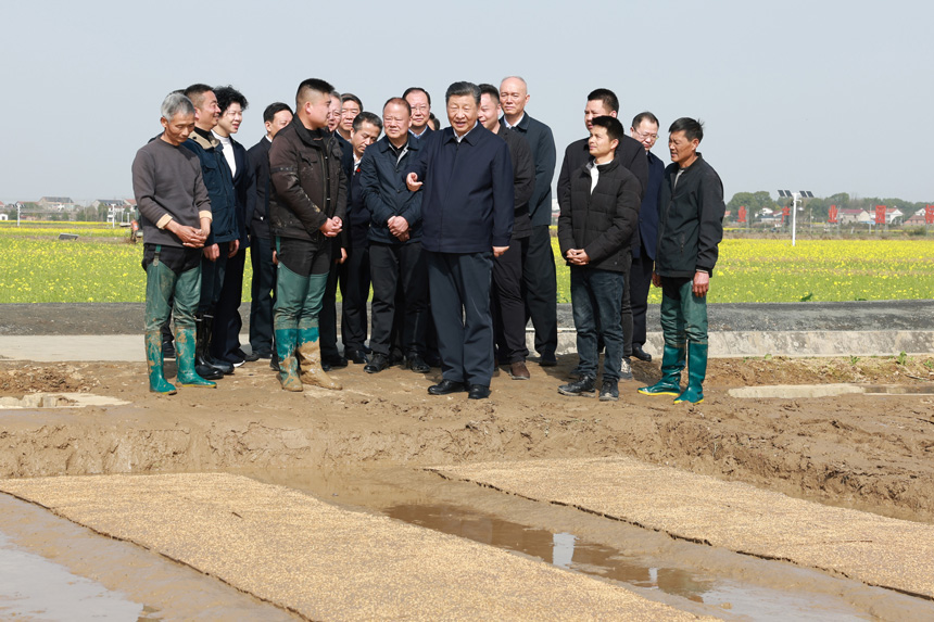 2024年3月18日至21日，中共中央總書記、國家主席、中央軍委主席習(xí)近平在湖南考察。這是19日下午，習(xí)近平在常德市鼎城區(qū)謝家鋪鎮(zhèn)港中坪村走進(jìn)田間，察看秧苗培育和春耕備耕進(jìn)展。新華社記者 王曄 攝